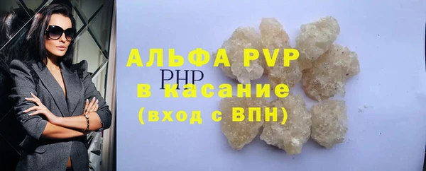 СК Куйбышев