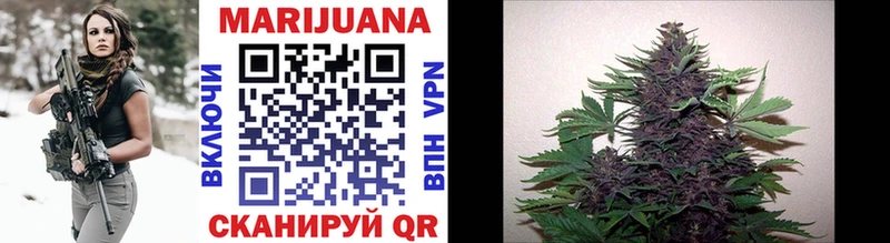 МАРИХУАНА OG Kush  Купить  Вичуга 